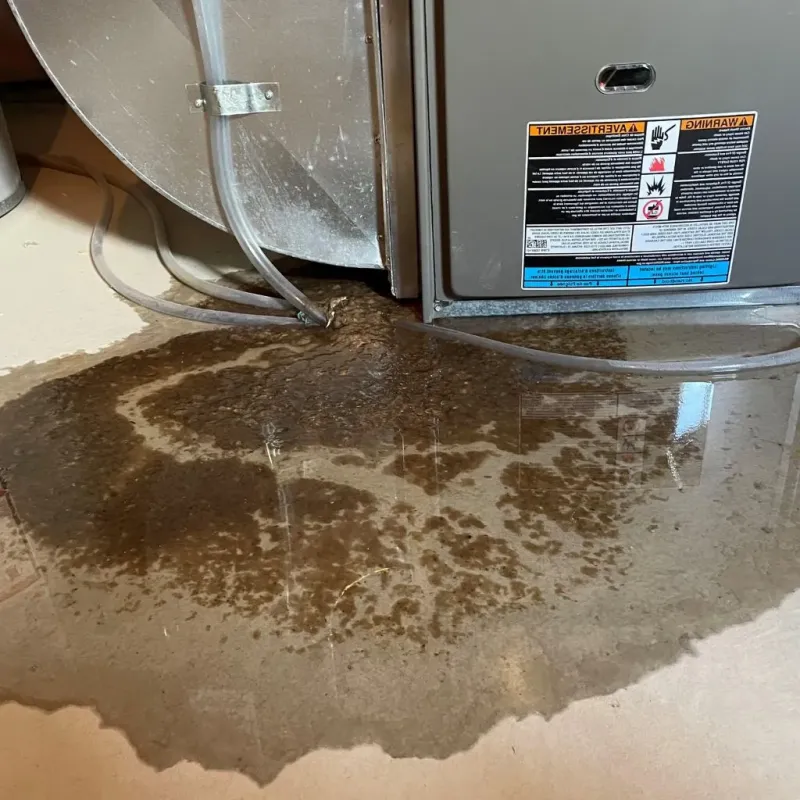 Pipe Burst and Leak Restoration in Vallejo, CA
